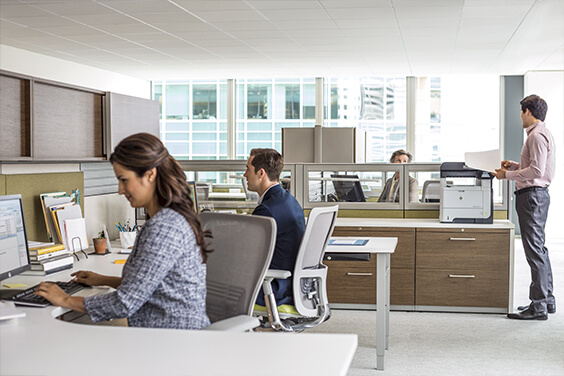 office workers working on desktop computers with HP printer in the background