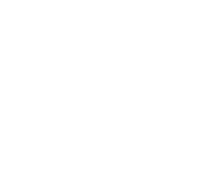 fruth group logo white shield only